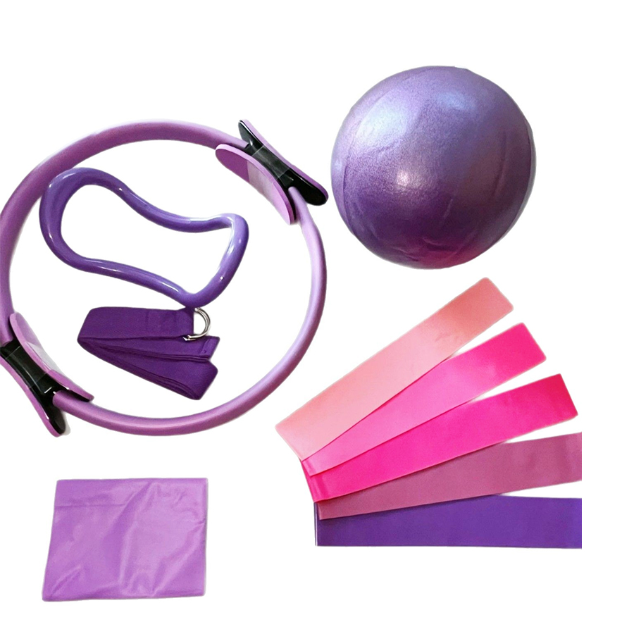 Customized LOGO 5-Piece Home G - Pilates Yoga Ball Exercises 评论和价格