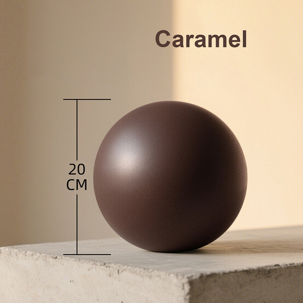 20cm Matte Exercise Ball Barre - Pilates Yoga Ball Exercises 评论和价格