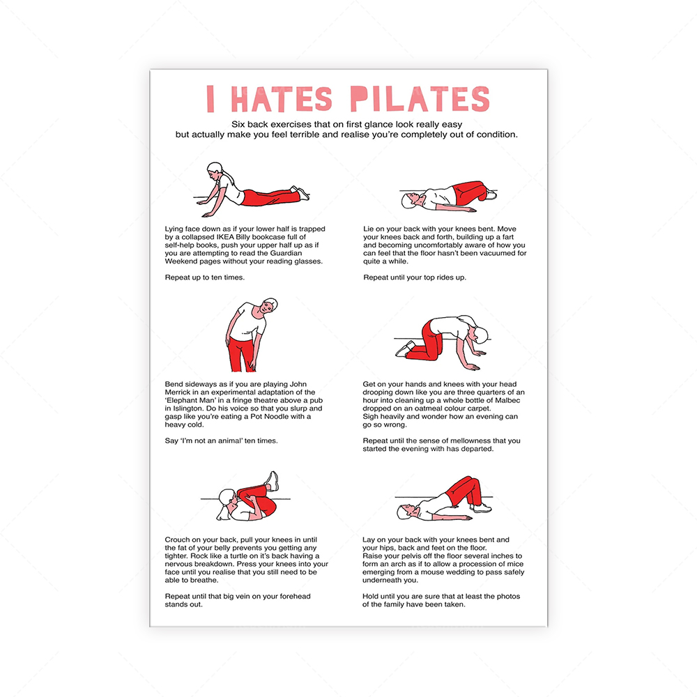 Je déteste PILATES Serviette à - Pilates Yoga Room 评论和价格
